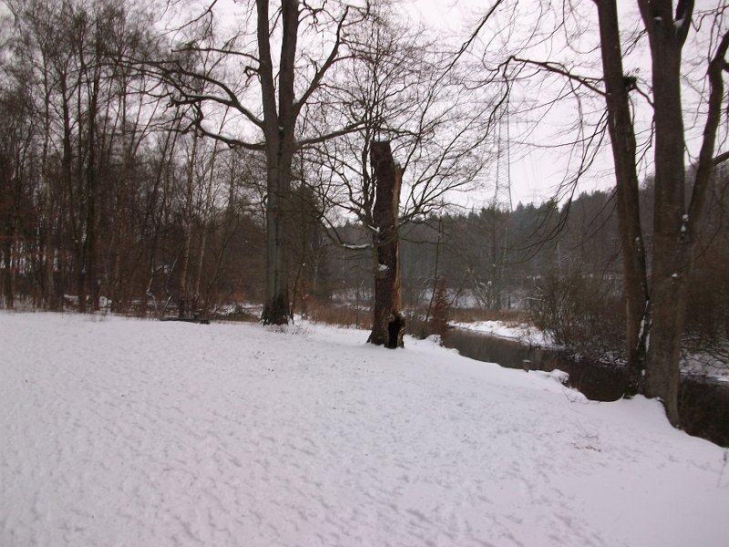 Crosslauf Bergedorf 049